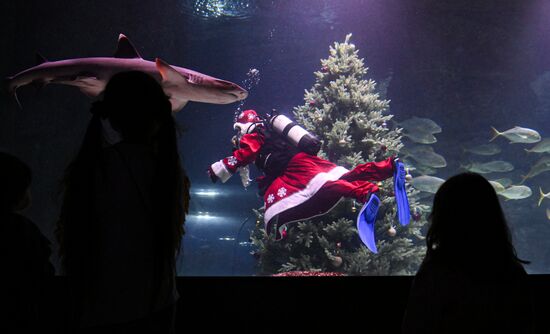 Подводный новогодний перформанс в "Москвариуме" на ВДНХ