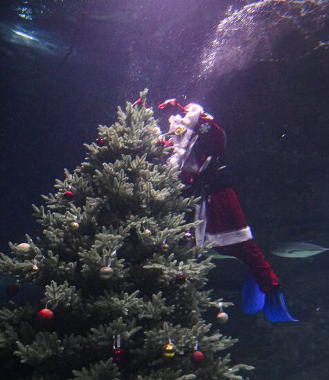Подводный новогодний перформанс в "Москвариуме" на ВДНХ