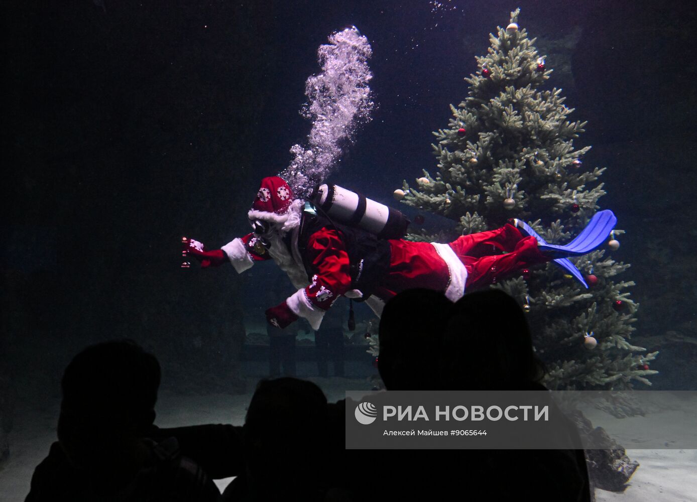 Подводный новогодний перформанс в "Москвариуме" на ВДНХ