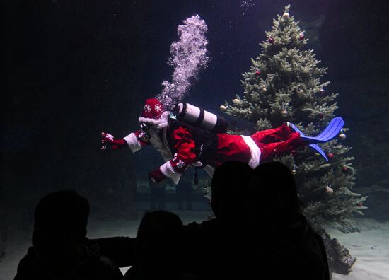 Подводный новогодний перформанс в "Москвариуме" на ВДНХ