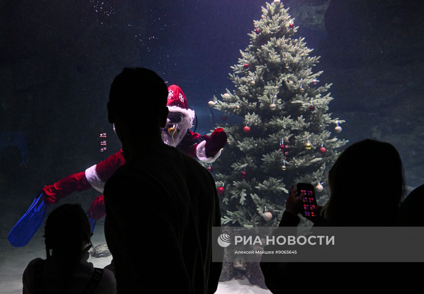 Подводный новогодний перформанс в "Москвариуме" на ВДНХ