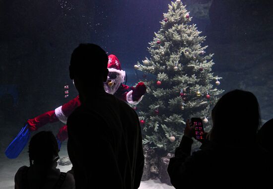 Подводный новогодний перформанс в "Москвариуме" на ВДНХ