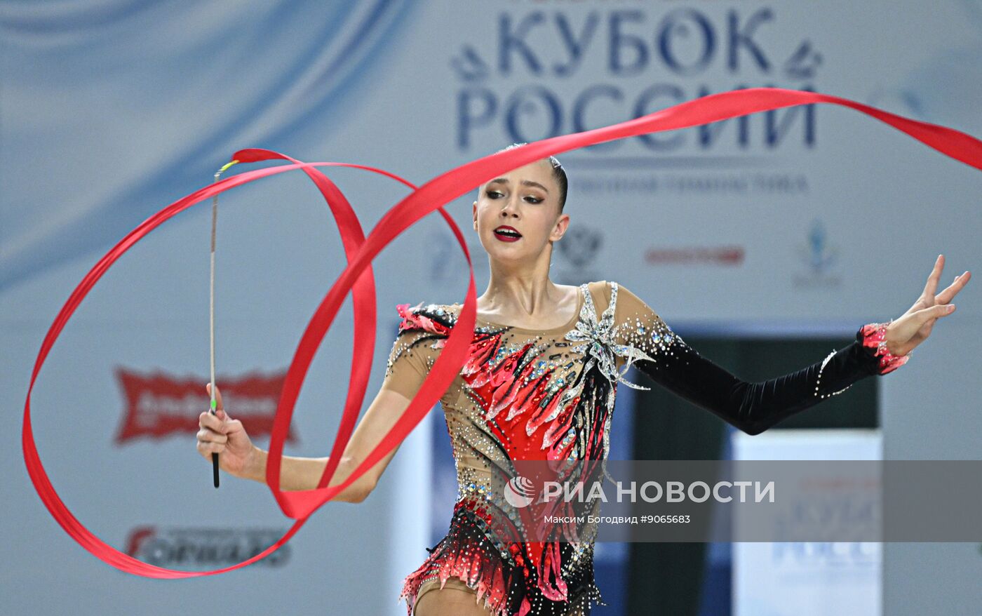 Художественная гимнастика. Кубок России 2025. День второй