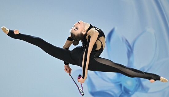 Художественная гимнастика. Кубок России 2025. День второй