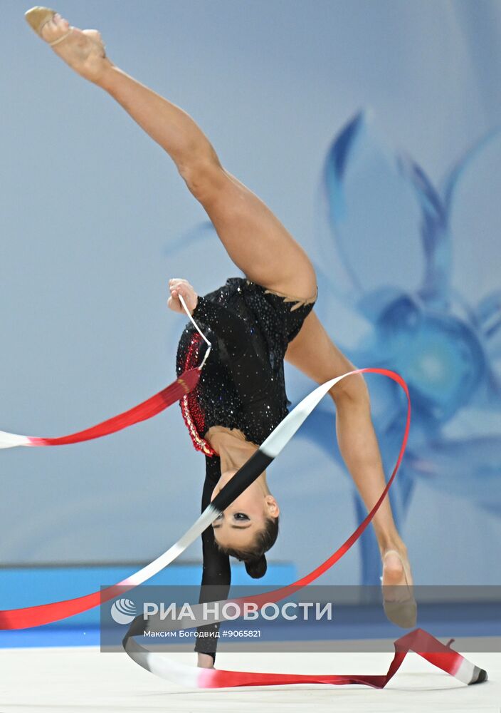 Художественная гимнастика. Кубок России 2025. День второй