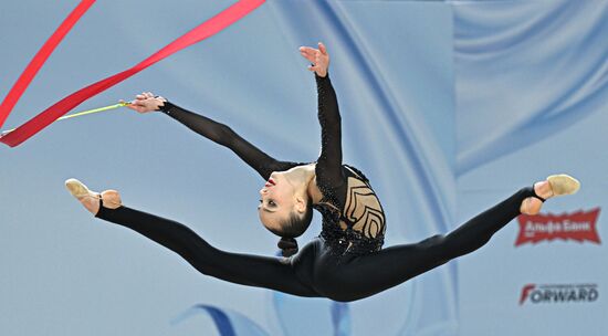 Художественная гимнастика. Кубок России 2025. День второй