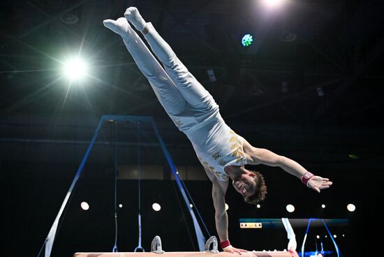 Спортивная гимнастика. Финал Гимнастической Премьер-лиги