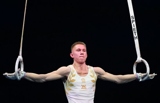 Спортивная гимнастика. Финал Гимнастической Премьер-лиги