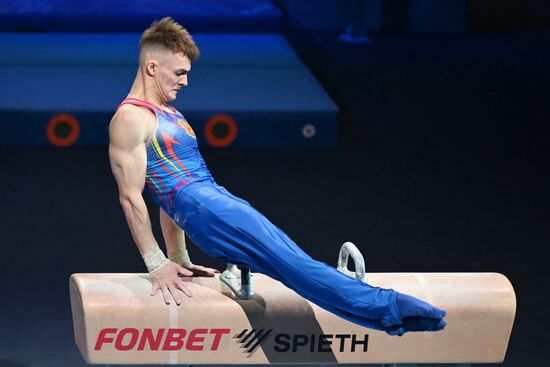 Спортивная гимнастика. Финал Гимнастической Премьер-лиги