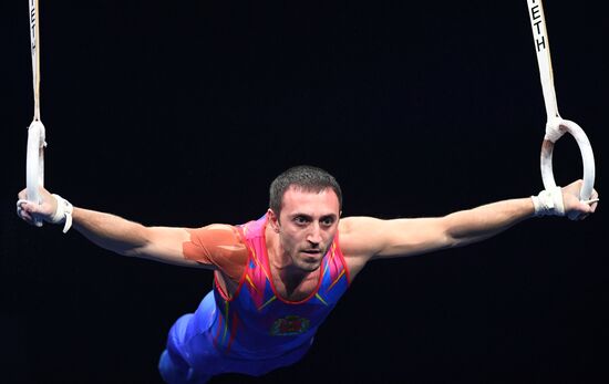 Спортивная гимнастика. Финал Гимнастической Премьер-лиги