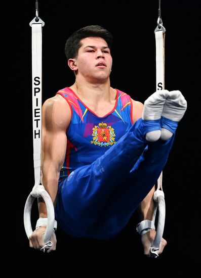 Спортивная гимнастика. Финал Гимнастической Премьер-лиги