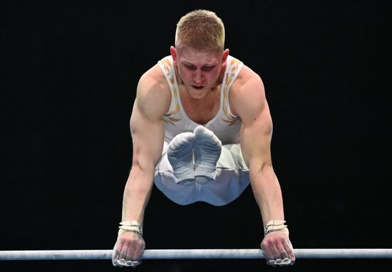 Спортивная гимнастика. Финал Гимнастической Премьер-лиги