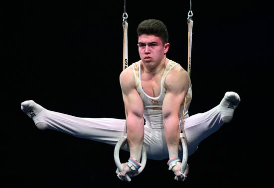 Спортивная гимнастика. Финал Гимнастической Премьер-лиги