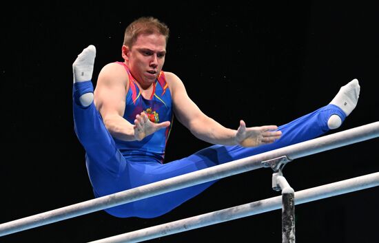 Спортивная гимнастика. Финал Гимнастической Премьер-лиги