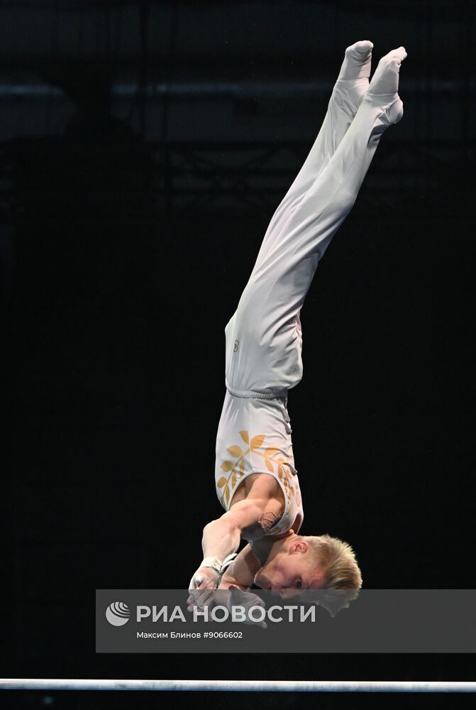 Спортивная гимнастика. Финал Гимнастической Премьер-лиги