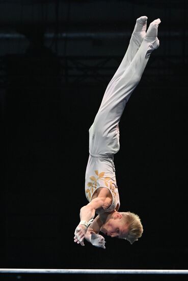 Спортивная гимнастика. Финал Гимнастической Премьер-лиги