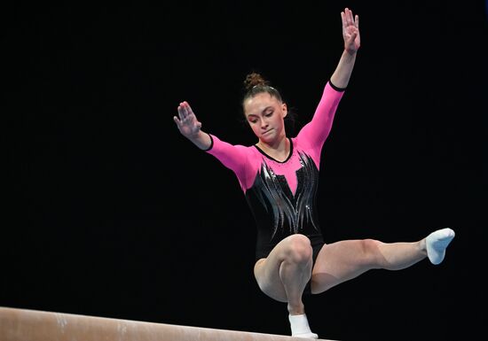 Спортивная гимнастика. Финал Гимнастической Премьер-лиги