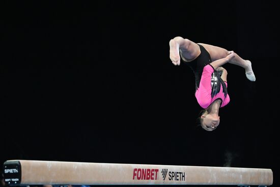 Спортивная гимнастика. Финал Гимнастической Премьер-лиги