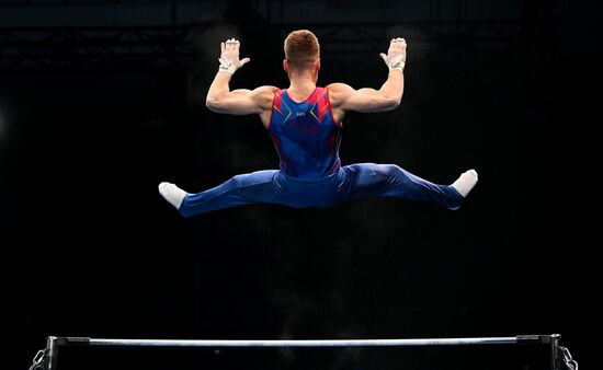 Спортивная гимнастика. Финал Гимнастической Премьер-лиги