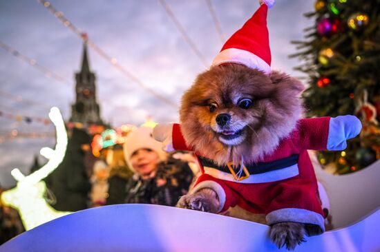 Предновогодняя Москва