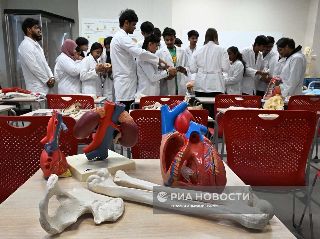 Занятия студентов из Индии в Дальневосточном федеральном университете