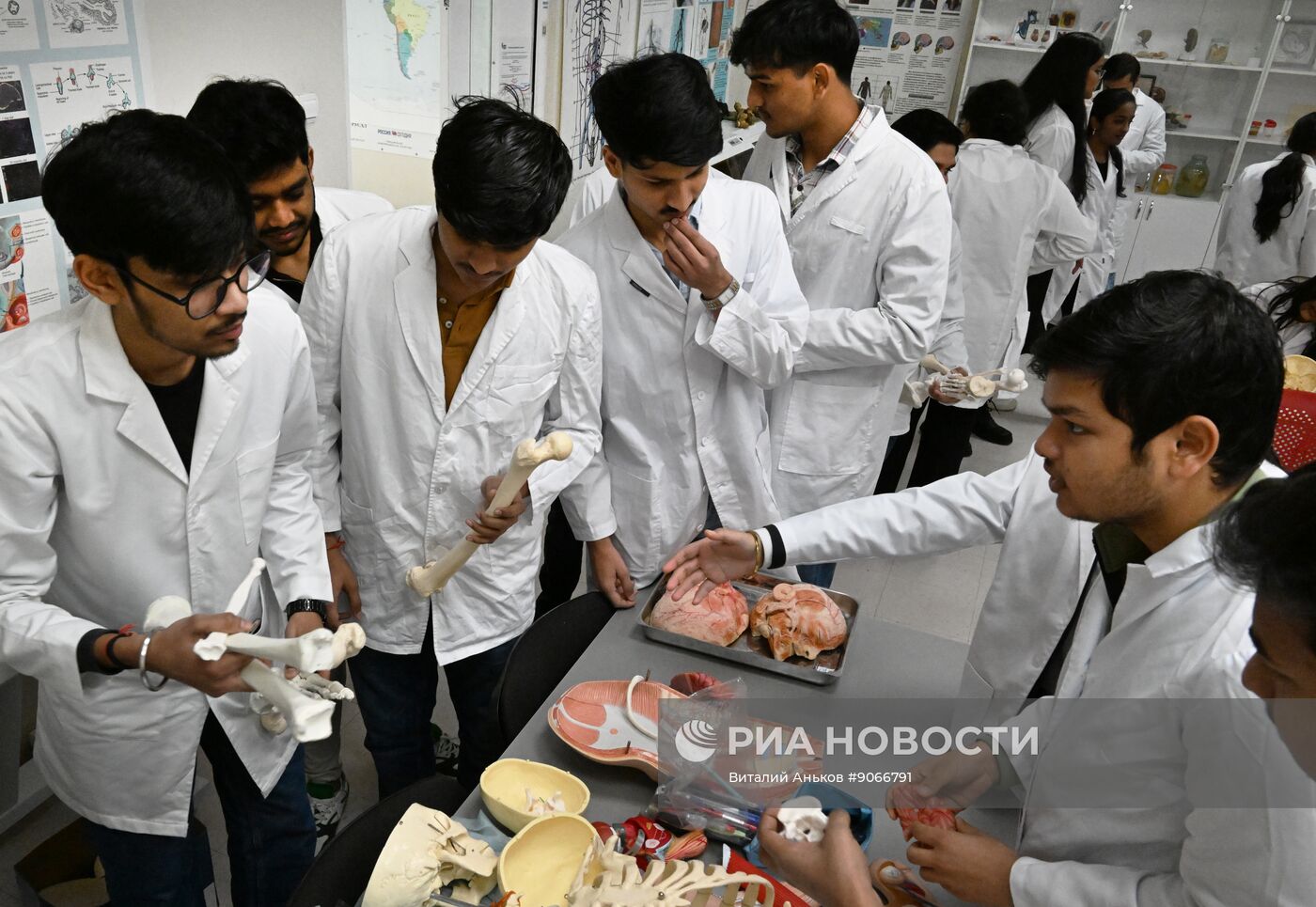 Занятия студентов из Индии в Дальневосточном федеральном университете