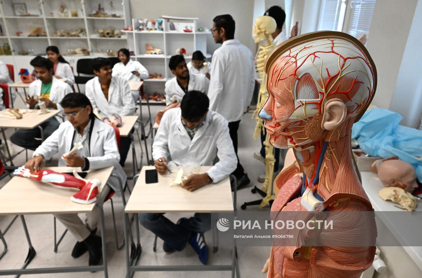 Занятия студентов из Индии в Дальневосточном федеральном университете