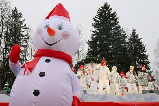 Рубка главной новогодней ели