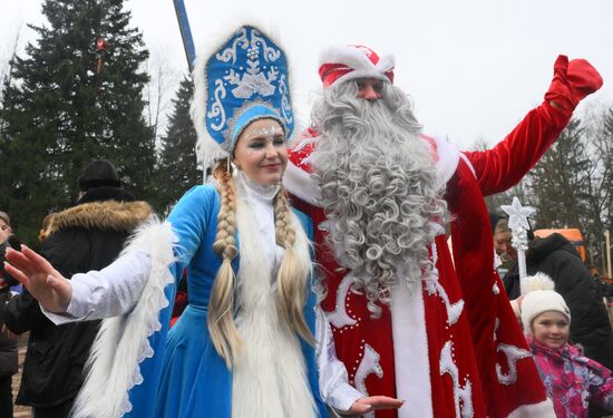 Рубка главной новогодней ели