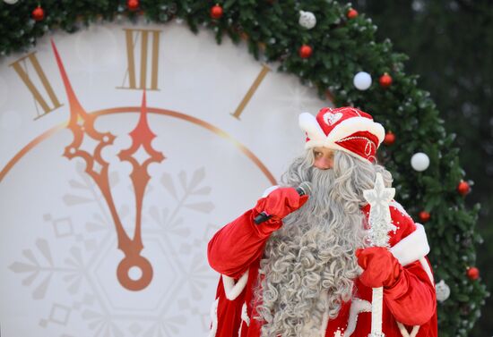 Рубка главной новогодней ели