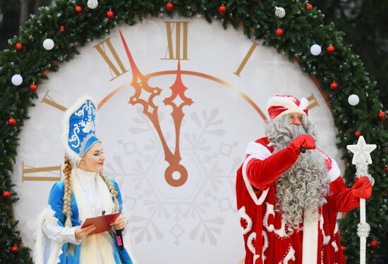 Рубка главной новогодней ели