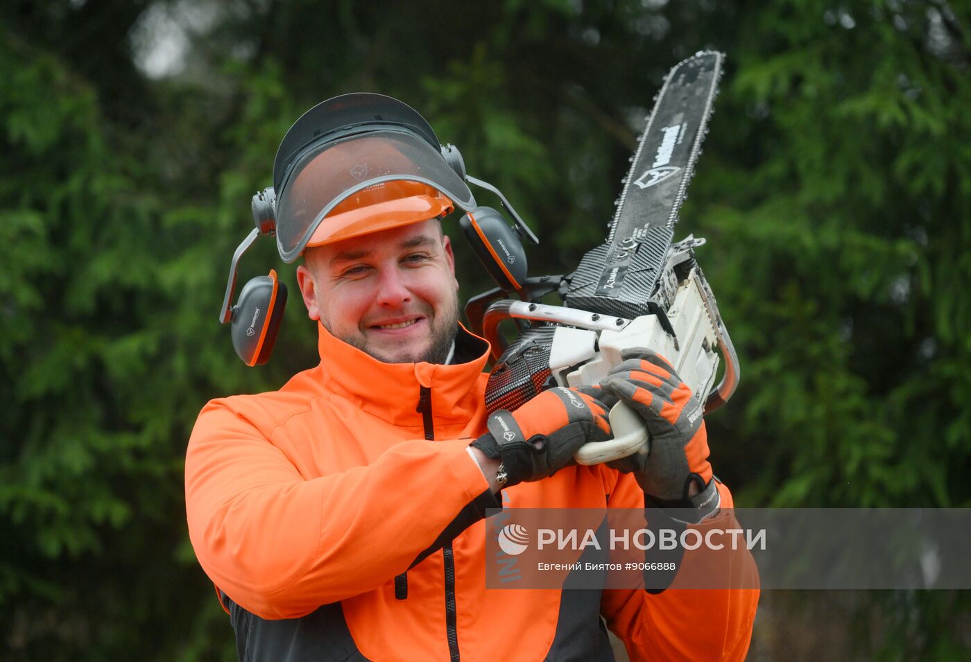 Рубка главной новогодней ели