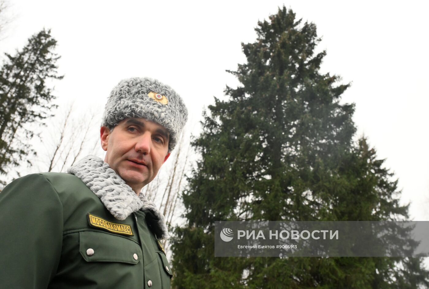 Рубка главной новогодней ели