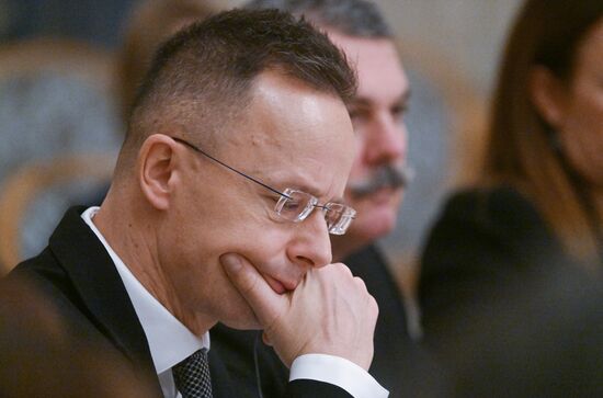 Заседание Российско-Венгерской межправительственной комиссии по экономическому сотрудничеству