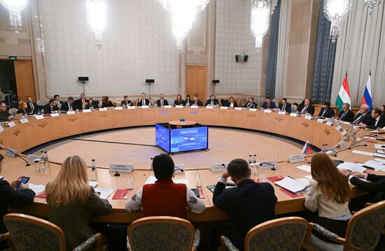 Заседание Российско-Венгерской межправительственной комиссии по экономическому сотрудничеству
