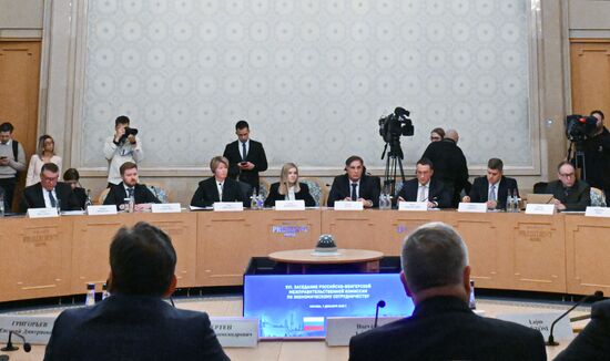 Заседание Российско-Венгерской межправительственной комиссии по экономическому сотрудничеству