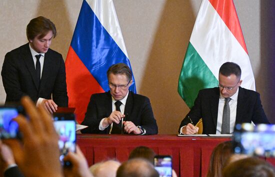 Заседание Российско-Венгерской межправительственной комиссии по экономическому сотрудничеству