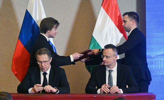 Заседание Российско-Венгерской межправительственной комиссии по экономическому сотрудничеству
