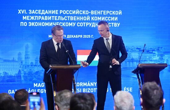 Заседание Российско-Венгерской межправительственной комиссии по экономическому сотрудничеству