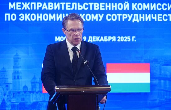 Заседание Российско-Венгерской межправительственной комиссии по экономическому сотрудничеству