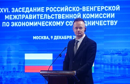 Заседание Российско-Венгерской межправительственной комиссии по экономическому сотрудничеству