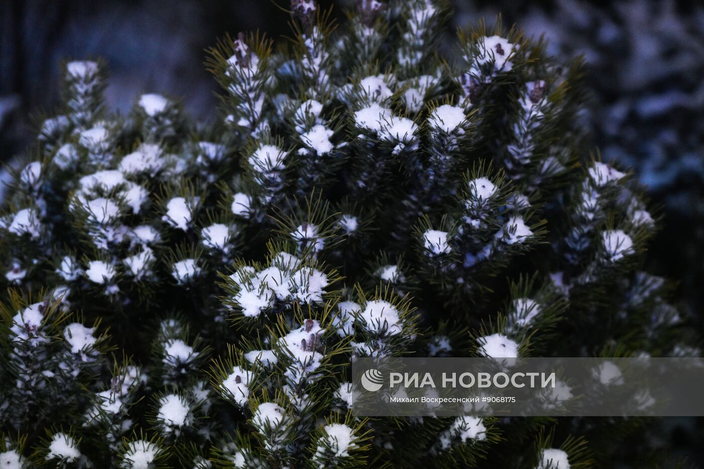 Повседневная жизнь в Москве