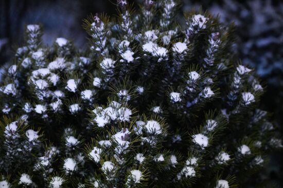 Повседневная жизнь в Москве