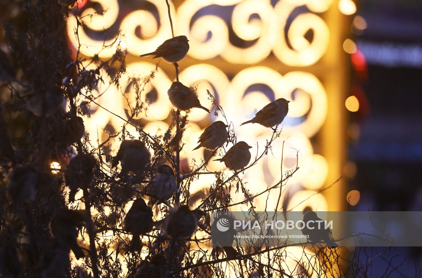 Повседневная жизнь в Москве