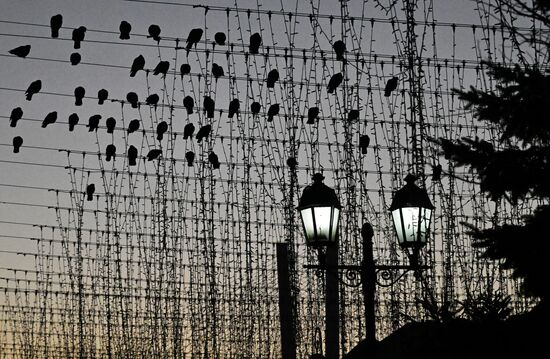 Район "Миллионка" в историческом центре Владивостока