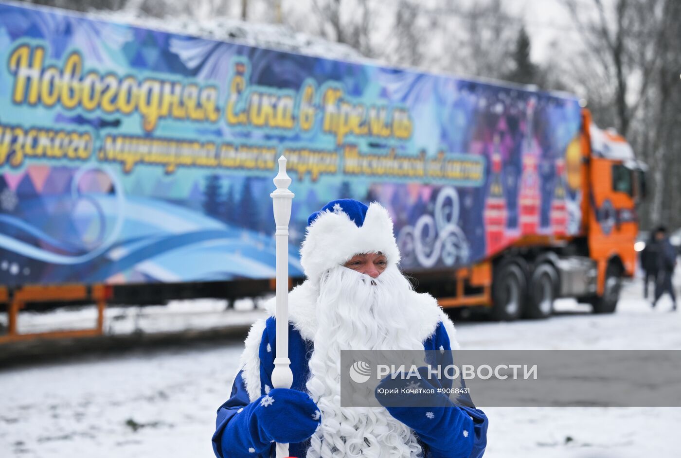 Отправка главной новогодней елки страны в Кремль