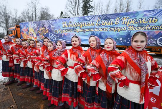 Отправка главной новогодней елки страны в Кремль