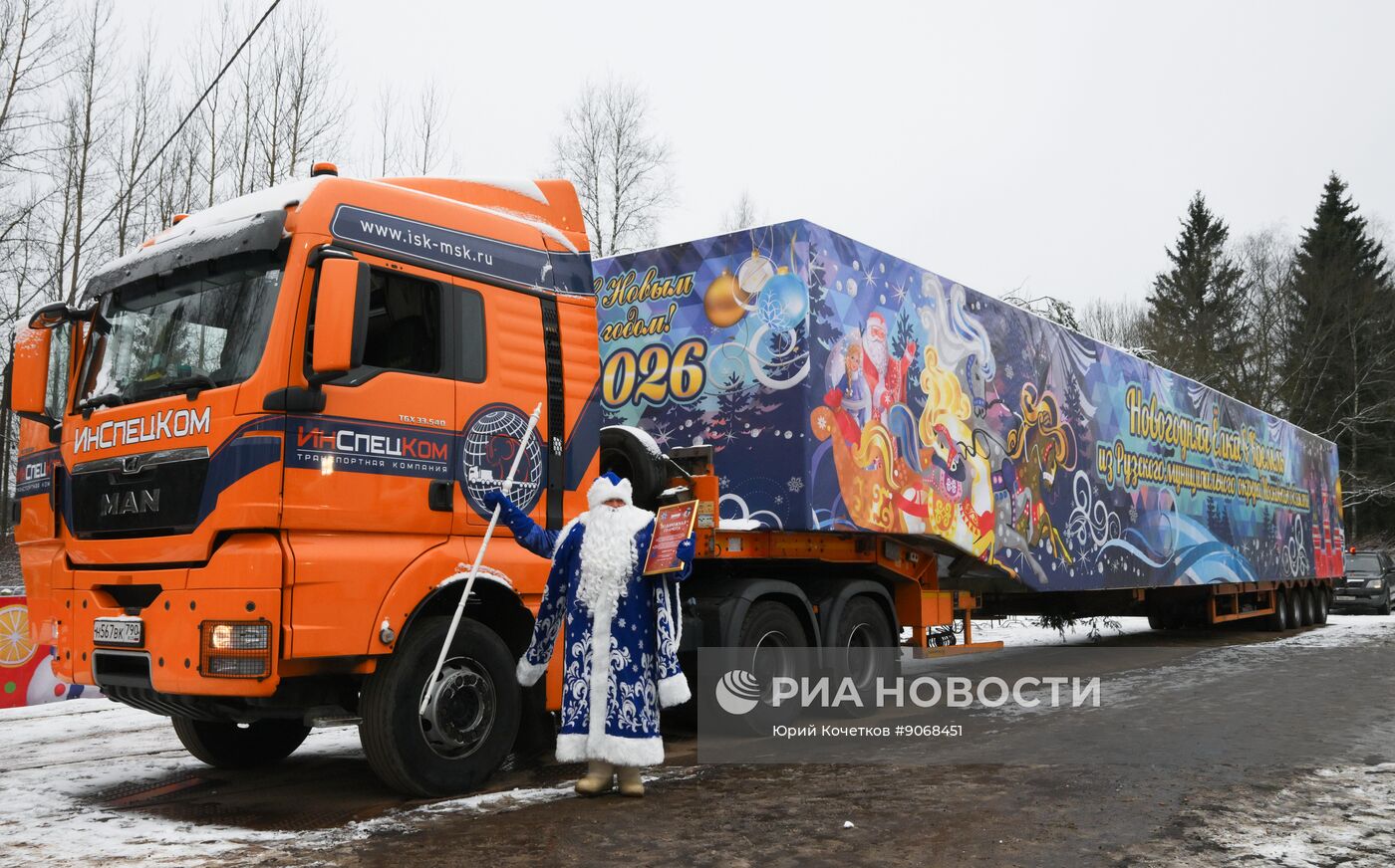 Отправка главной новогодней елки страны в Кремль