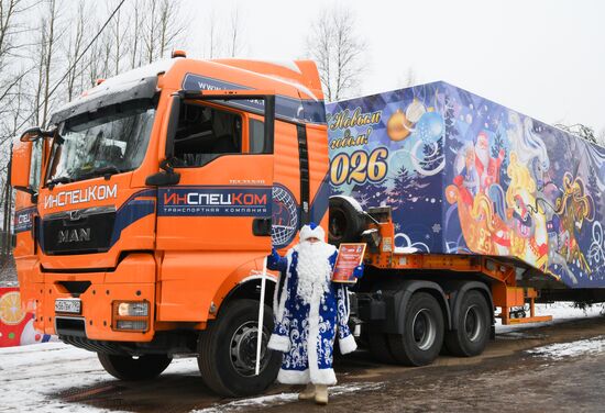 Отправка главной новогодней елки страны в Кремль