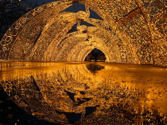 Предновогодняя Москва